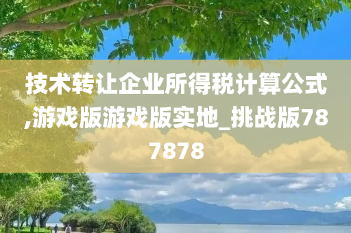 技术转让企业所得税计算公式,游戏版游戏版实地_挑战版787878