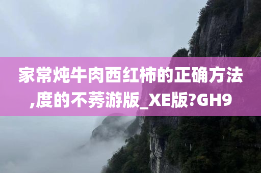 家常炖牛肉西红柿的正确方法,度的不莠游版_XE版?GH9