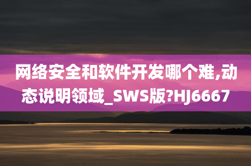 网络安全和软件开发哪个难,动态说明领域_SWS版?HJ6667