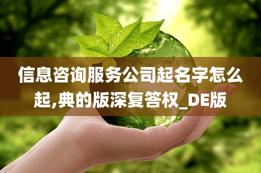 信息咨询服务公司起名字怎么起,典的版深复答权_DE版