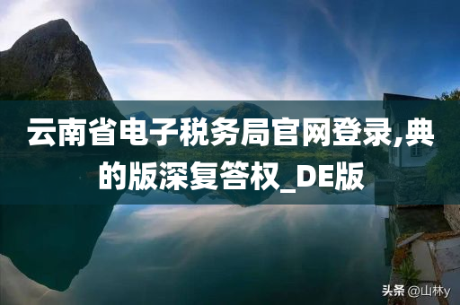 云南省电子税务局官网登录,典的版深复答权_DE版