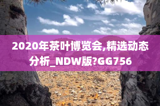 2020年茶叶博览会,精选动态分析_NDW版?GG756