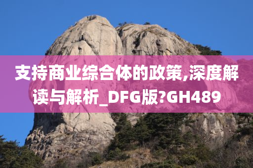 支持商业综合体的政策,深度解读与解析_DFG版?GH489