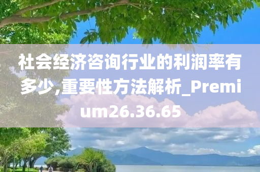 社会经济咨询行业的利润率有多少,重要性方法解析_Premium26.36.65