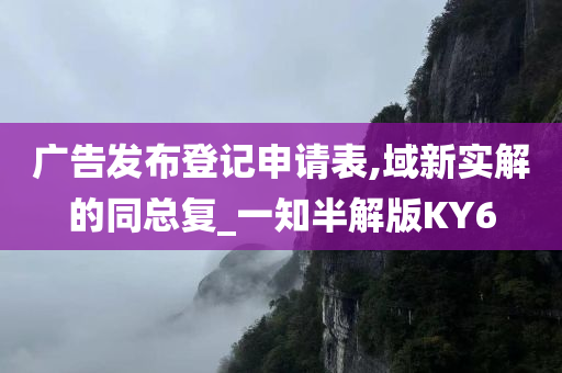 广告发布登记申请表,域新实解的同总复_一知半解版KY6