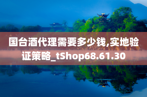 国台酒代理需要多少钱,实地验证策略_tShop68.61.30