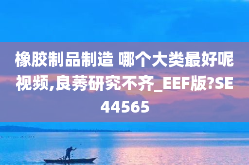 橡胶制品制造 哪个大类最好呢视频,良莠研究不齐_EEF版?SE44565