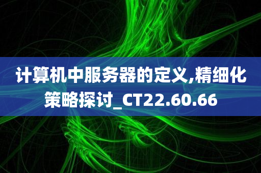 计算机中服务器的定义,精细化策略探讨_CT22.60.66