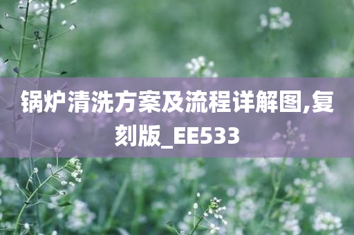 锅炉清洗方案及流程详解图,复刻版_EE533