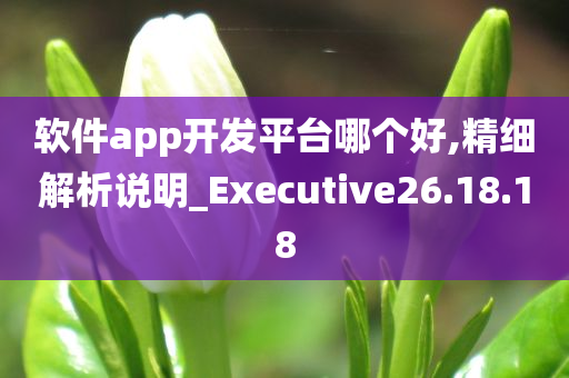 软件app开发平台哪个好,精细解析说明_Executive26.18.18