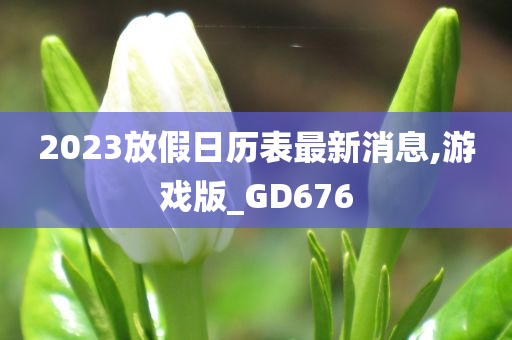 2023放假日历表最新消息,游戏版_GD676