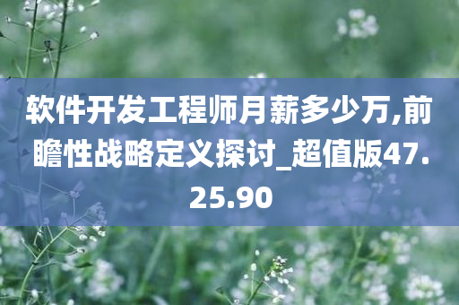 软件开发工程师月薪多少万,前瞻性战略定义探讨_超值版47.25.90