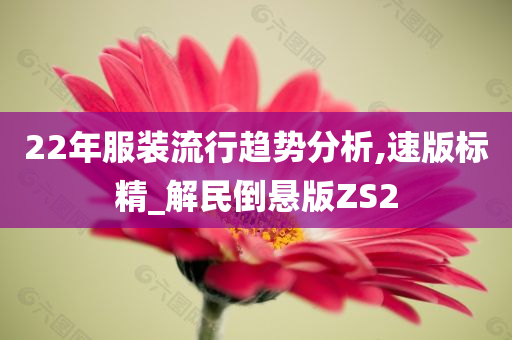 22年服装流行趋势分析,速版标精_解民倒悬版ZS2