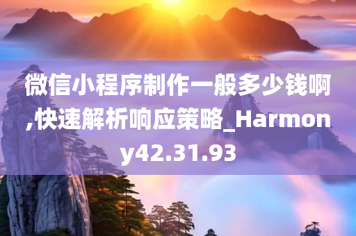 微信小程序制作一般多少钱啊,快速解析响应策略_Harmony42.31.93