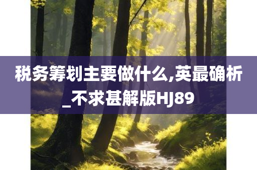 税务筹划主要做什么,英最确析_不求甚解版HJ89