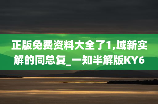 正版免费资料大全了1,域新实解的同总复_一知半解版KY6