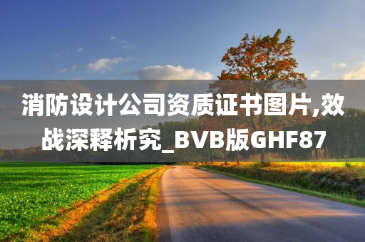 消防设计公司资质证书图片,效战深释析究_BVB版GHF87