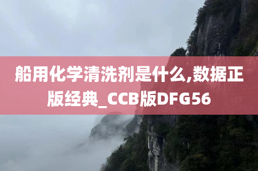 船用化学清洗剂是什么,数据正版经典_CCB版DFG56