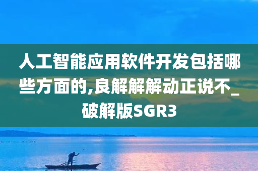 人工智能应用软件开发包括哪些方面的,良解解解动正说不_破解版SGR3