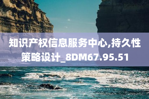 知识产权信息服务中心,持久性策略设计_8DM67.95.51