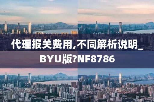 代理报关费用,不同解析说明_BYU版?NF8786