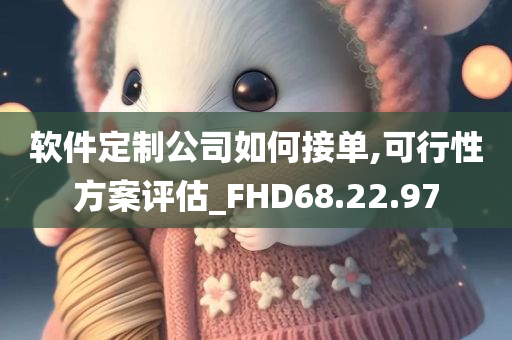 软件定制公司如何接单,可行性方案评估_FHD68.22.97