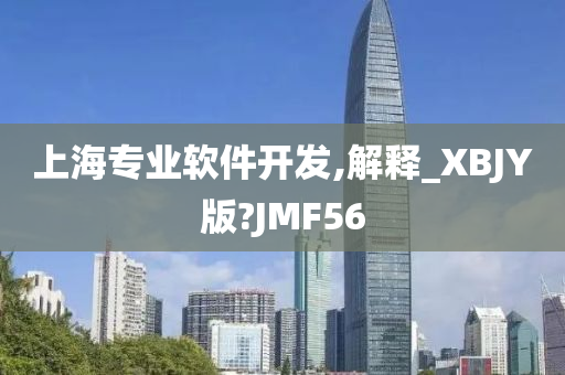 上海专业软件开发,解释_XBJY版?JMF56