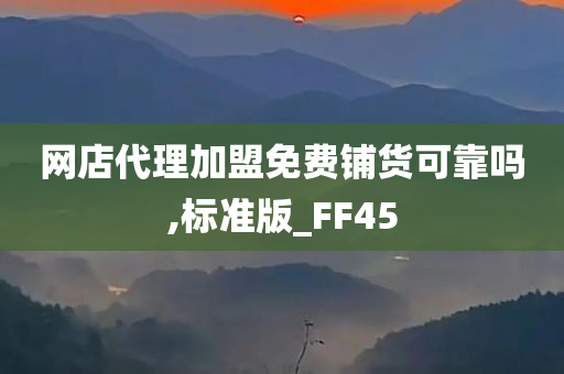 网店代理加盟免费铺货可靠吗,标准版_FF45