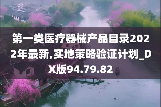 第一类医疗器械产品目录2022年最新,实地策略验证计划_DX版94.79.82