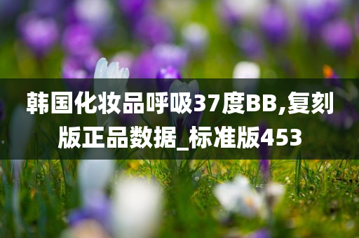 韩国化妆品呼吸37度BB,复刻版正品数据_标准版453