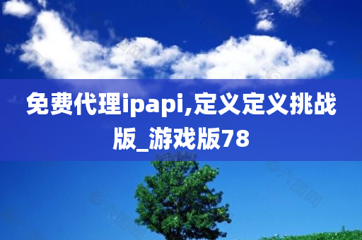 免费代理ipapi,定义定义挑战版_游戏版78