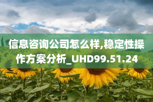 信息咨询公司怎么样,稳定性操作方案分析_UHD99.51.24