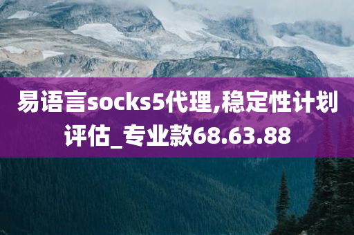 易语言socks5代理,稳定性计划评估_专业款68.63.88