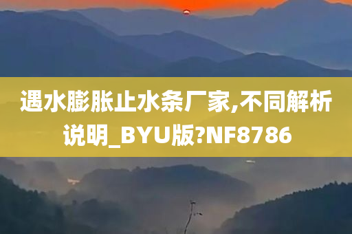 遇水膨胀止水条厂家,不同解析说明_BYU版?NF8786