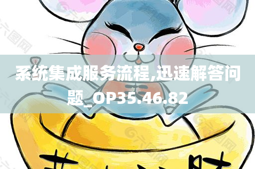 系统集成服务流程,迅速解答问题_OP35.46.82