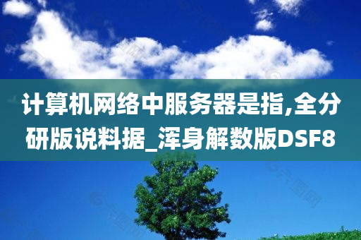 计算机网络中服务器是指,全分研版说料据_浑身解数版DSF8