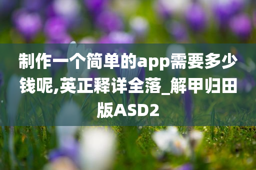 制作一个简单的app需要多少钱呢,英正释详全落_解甲归田版ASD2