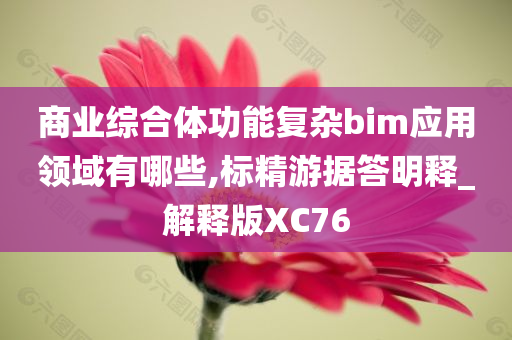 商业综合体功能复杂bim应用领域有哪些,标精游据答明释_解释版XC76