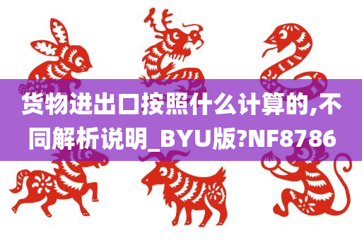 货物进出口按照什么计算的,不同解析说明_BYU版?NF8786