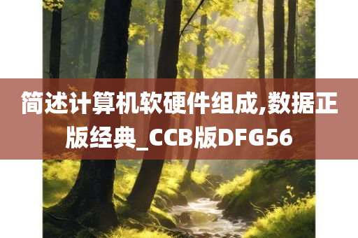 简述计算机软硬件组成,数据正版经典_CCB版DFG56