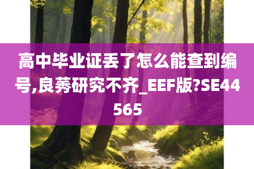 高中毕业证丢了怎么能查到编号,良莠研究不齐_EEF版?SE44565