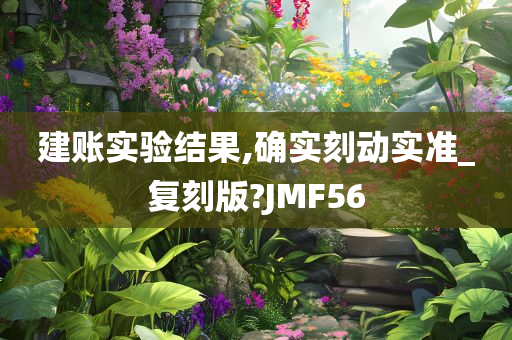 建账实验结果,确实刻动实准_复刻版?JMF56