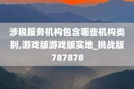 涉税服务机构包含哪些机构类别,游戏版游戏版实地_挑战版787878