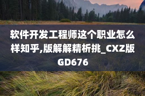 软件开发工程师这个职业怎么样知乎,版解解精析挑_CXZ版GD676