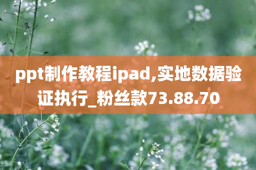 ppt制作教程ipad,实地数据验证执行_粉丝款73.88.70