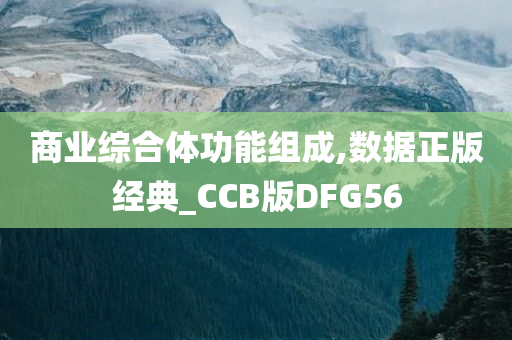 商业综合体功能组成,数据正版经典_CCB版DFG56