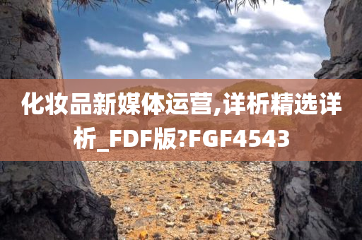 化妆品新媒体运营,详析精选详析_FDF版?FGF4543