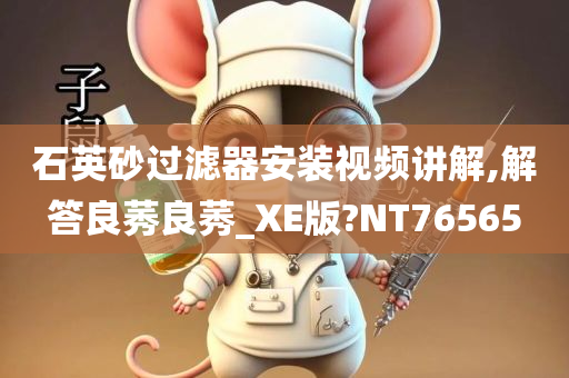 石英砂过滤器安装视频讲解,解答良莠良莠_XE版?NT76565