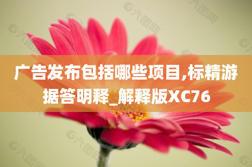 广告发布包括哪些项目,标精游据答明释_解释版XC76