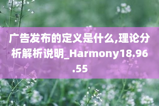 广告发布的定义是什么,理论分析解析说明_Harmony18.96.55